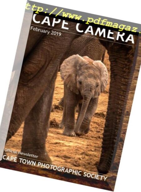 Cape Camera – February 2019 Cover