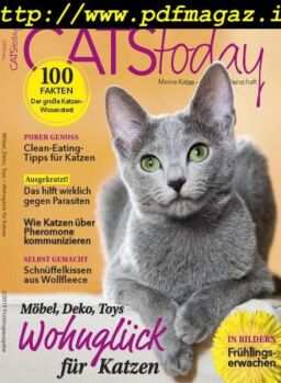 Cats Today – Februar 2019