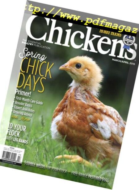 Chickens – March-April 2019 Cover