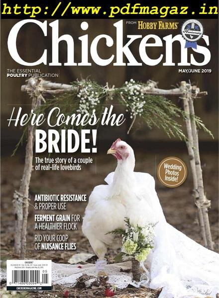 Chickens – May-June 2019 Cover