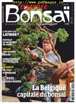 Esprit Bonsai – avril 2019