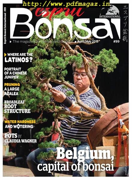 Esprit Bonsai International – April 2019 Cover