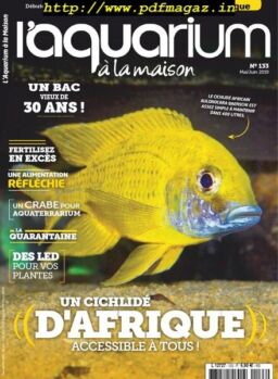 l’Aquarium a la Maison – mai-juin 2019