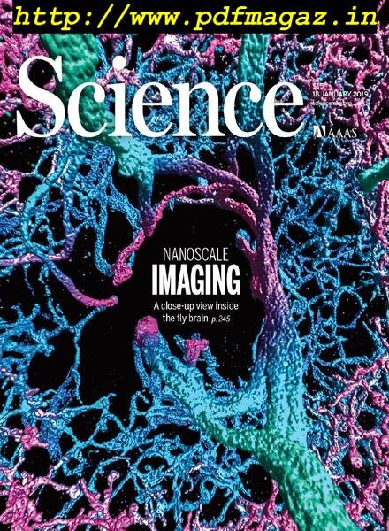 Science – 18 January 2019 Cover