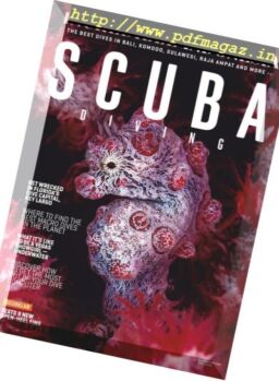 Scuba Diving – April 2019