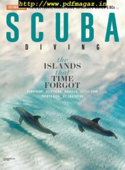 Scuba Diving – May 2019