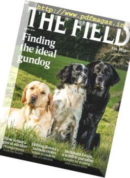 The Field – April 2019