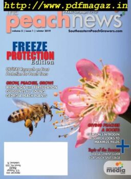 The Peach News – January 2019