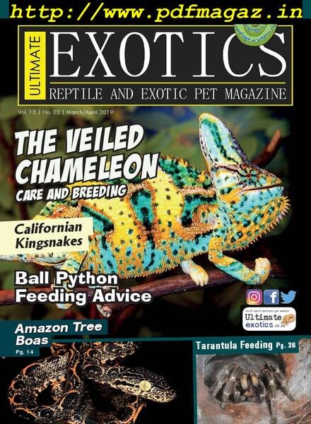 Ultimate Exotics – March-April 2019 Cover