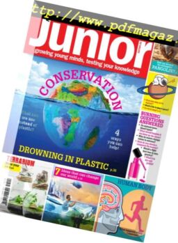 Very Interesting Junior – January 20, 2019