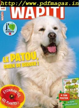 Wapiti – Mai 2019