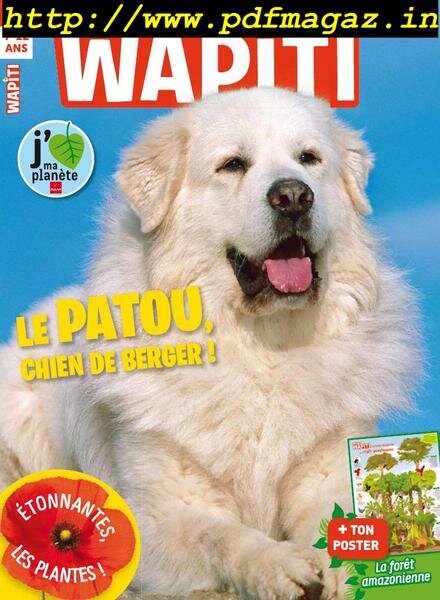 Wapiti – Mai 2019 Cover