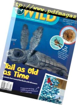 Wild – February 2019