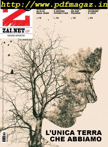 Zainet Lab – Marzo 2019 Cover