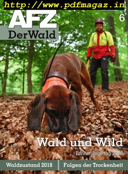 AFZ-DerWald – 11 Marz 2019 Cover