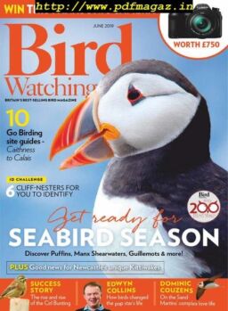 Bird Watching – 2019-06-01
