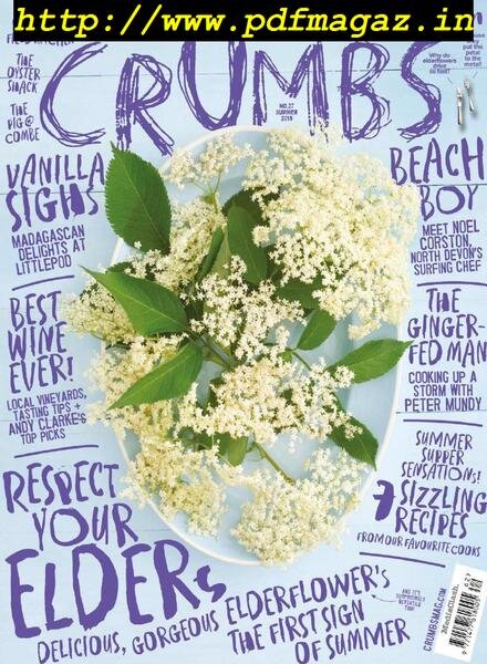 Crumbs Devon – Summer 2019 Cover