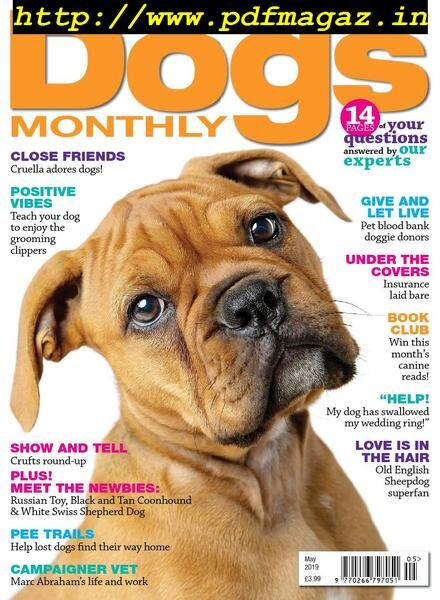 Dogs Monthly – May 2019 Cover