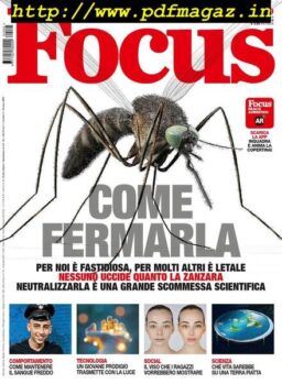 Focus Italia N319 – Maggio 2019