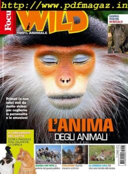 Focus Wild – giugno 2019