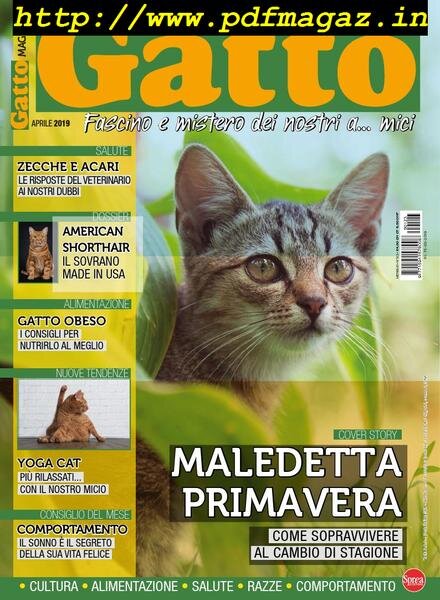Gatto Magazine – Aprile 2019 Cover