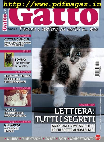 Gatto Magazine – Maggio 2019 Cover