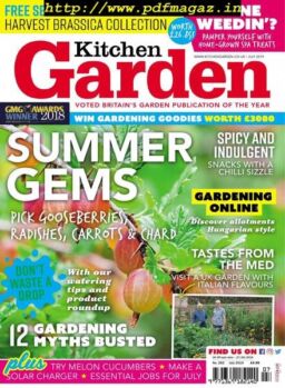 Kitchen Garden – July 2019