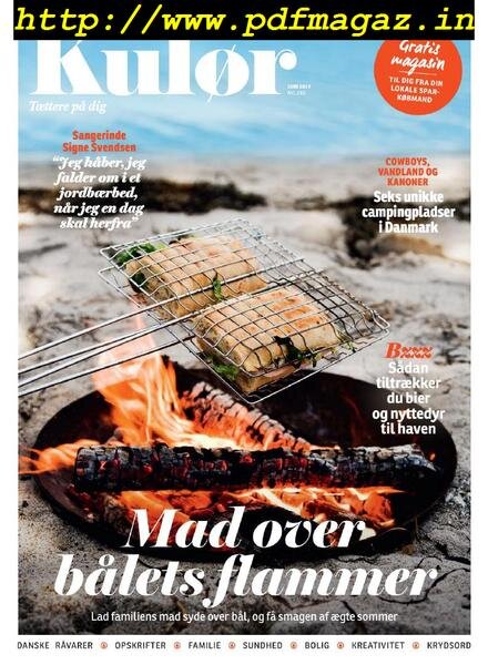 Kulor – Juni 2019 Cover