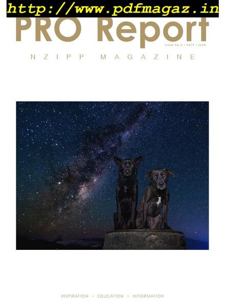 Nzipp Pro Report – June 2019 Cover