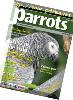 Parrots – March 2019