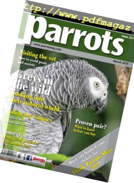 Parrots – March 2019 Cover