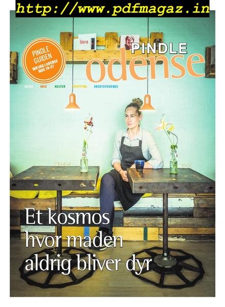 Pindle Odense – 21 maj 2019 Cover