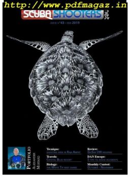 Scubashooters – February 2019