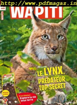 Wapiti – Avril 2019