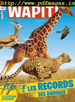 Wapiti – Juin 2019
