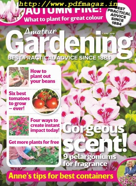 Amateur Gardening – 11 June 2019 Cover