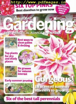 Amateur Gardening – 18 June 2019
