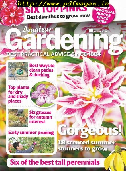 Amateur Gardening – 18 June 2019 Cover