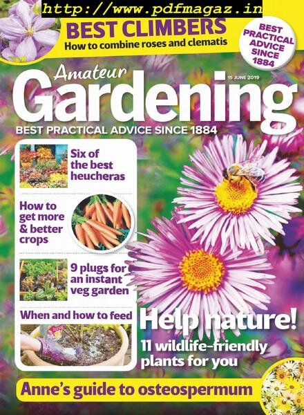 Amateur Gardening – 25 June 2019 Cover