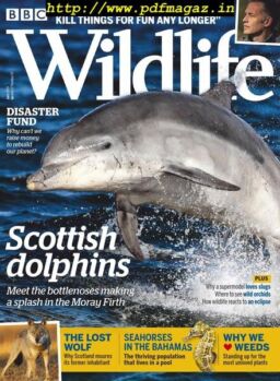 BBC Wildlife – June 2019