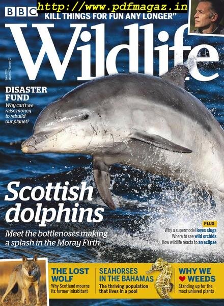 BBC Wildlife – June 2019 Cover
