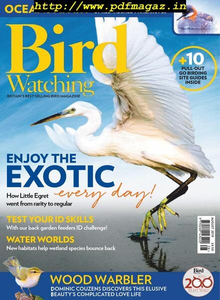 Bird Watching UK – August 2019 Cover