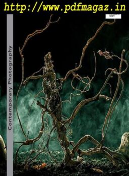 Contemporary Photography – Spring 2019