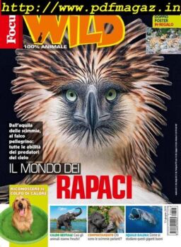 Focus Wild – luglio 2019