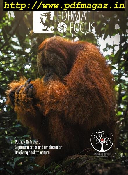 Formatt in Focus – Summer 2019 Cover