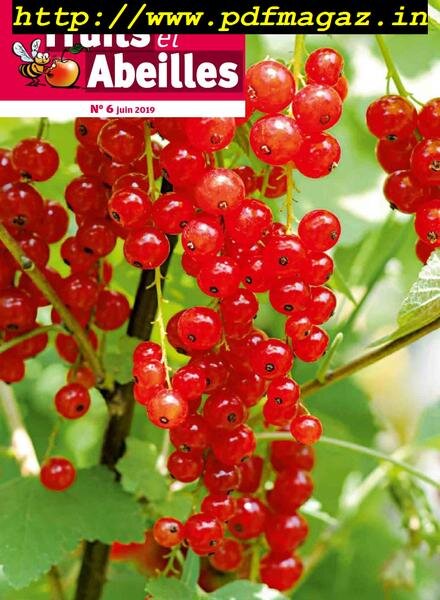 Fruits et Abeilles – Juin 2019 Cover