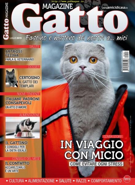 Gatto Magazine – luglio 2019 Cover