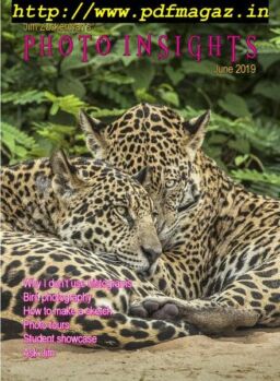 Photo Insights – June 2019