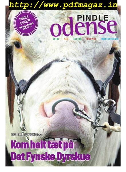 Pindle Odense – 11 juni 2019 Cover