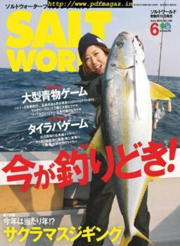 Salt World – 2019-05-01